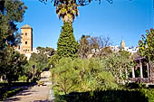 Rabat - la Kasbah degli Oudaia. I Giardini andalusi guardando verso la torre di Moulay Ismail. 